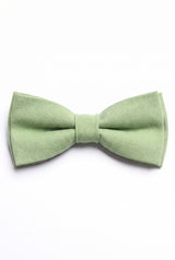 Gravata borboleta masculina verde sálvia