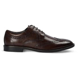 Cambridge - Sapatos Derby Brogue Wingtip Masculinos Marrom Escuro