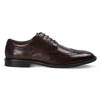 Cambridge - Sapatos Derby Brogue Wingtip Masculinos Marrom Escuro