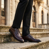 Cambridge - Sapatos Derby Brogue Wingtip Masculinos Marrom Escuro
