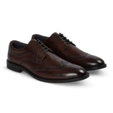 Cambridge - Sapatos Derby Brogue Wingtip Masculinos Marrom Escuro