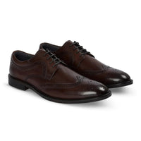 Cambridge - Sapatos Derby Brogue Wingtip Masculinos Marrom Escuro