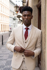 Gravata masculina bordô com estampa paisley