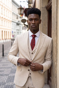 Gravata masculina bordô com estampa paisley