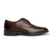 Taylor - Sapatos Derby Clássicos Masculinos em Couro Marrom Chocolate