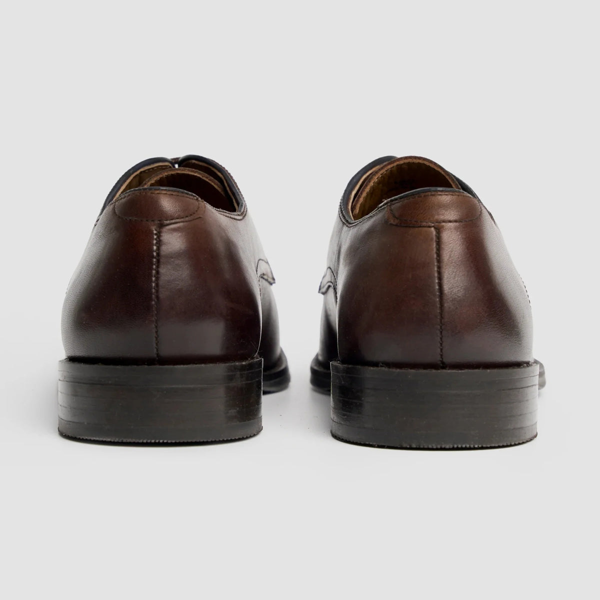 Taylor - Sapatos Derby Clássicos Masculinos em Couro Marrom Chocolate